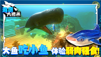 死亡搁浅地图bug的样式引发玩家关注，游戏开发者需加强测试以避免类似问题发生