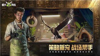食人鲨不能改画质卡在页面，如何解决这个问题并优化体验