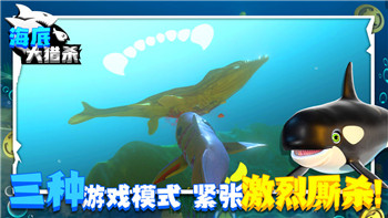 摩尔庄园厨师菜谱研究：探索摩尔庄园中的美食创作与策略